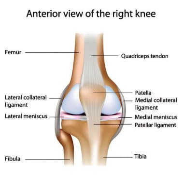Arthritis+TKR