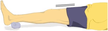 quadriceps.jpg